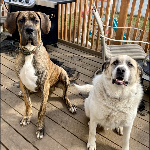 Meet your Posher, Taunya - Picture 14 of 14